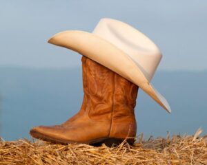 Stingray Cowboy Boots